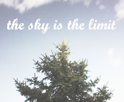 the sky is the limit